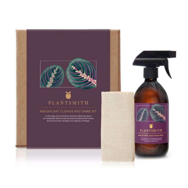 Plantsmith Houseplant Cleanse and Shine Gift Set